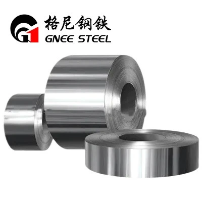 410S Ss Coils